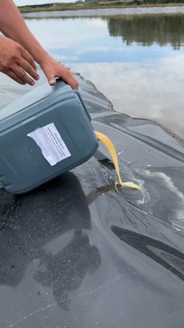 зоотехния агрономия сзр деструктор агроновости кфх агрохолдинг крс кормозаготовка сенаж