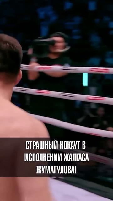 Жалгас Жумагулов на турнире NOMAD отправил в брутальнейший нокаут своего оппонента
