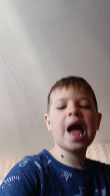 классное видео если всё это с колонки Алисы