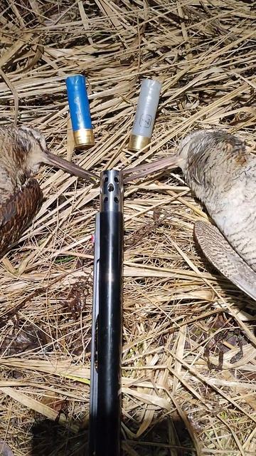 Закрытие по весеннему вальдшнепу 2026.