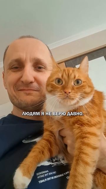 1 апреля и кот 1апреля