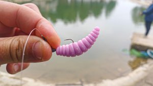 НУЖНО БЫЛО ТОЛЬКО ПОСТАВИЛ ЕЁ И СРАЗУ ПОКЛЁВКА и спиннинг в ДУГУ.  Рыбалка в 2026