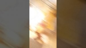 Готовлю часть 2