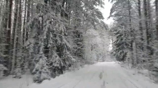 Двенадцать ДНЕЙ