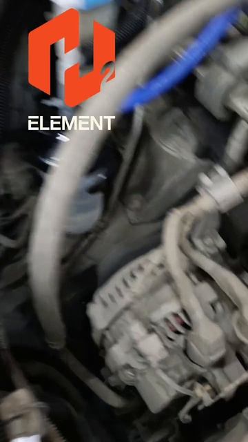 VID_20260331_075604_416.mp4