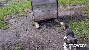 В эфире Беззубая бабка❤