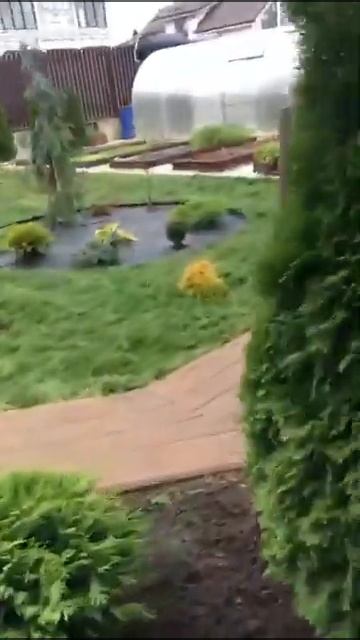 Укладка рулонного газона под ключ  Доставка по Москве и области  GAZON GROUP