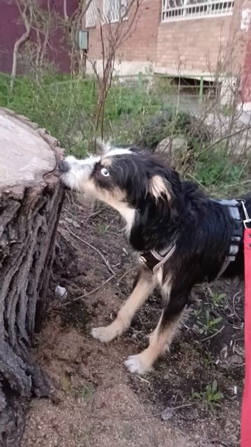 Отличный чипс