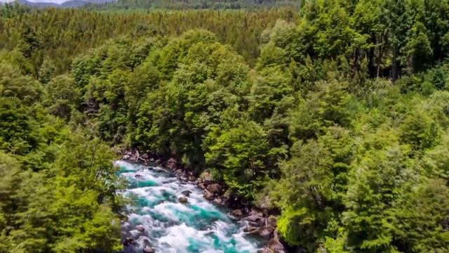 С первых нот ты полюбишь эту песню