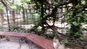 Выпуск 5. Бювет №2 в Ялте на улице Чехова