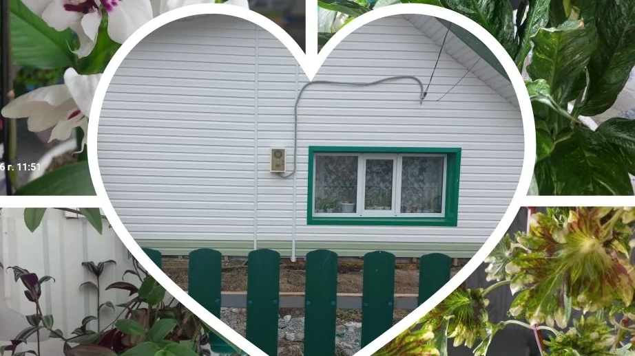 влог по немногу обо всем🪴🪴🪴