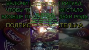 ТВОИ ПРЕДКИ ПОПРОСИЛИ ЭТУ ЧИСТКУ ДЛЯ ТЕБЯ