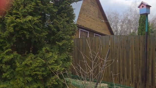 ВЛОГ: Дачный сезон 2026. Житие мое. Видеодневник. дача ремонт сад рассада