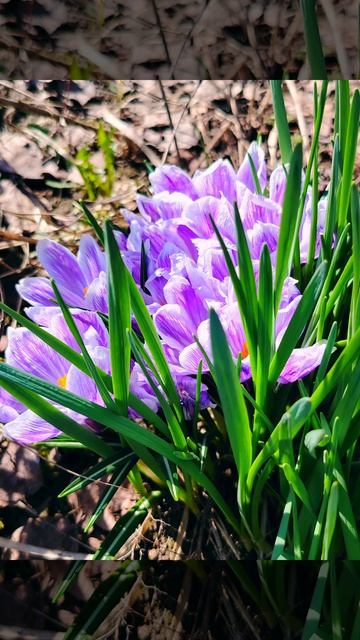 Утренняя весенняя прогулка
 16 апреля