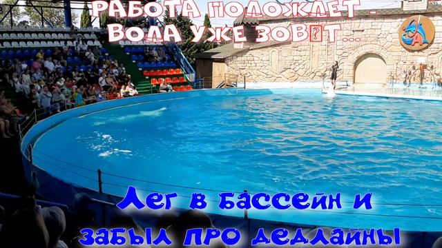 Отдыхающие в бассейне