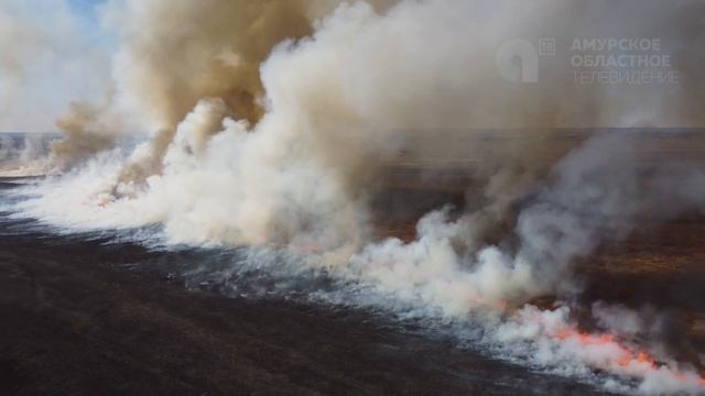 Новости короткой строкой 16.04.2026г