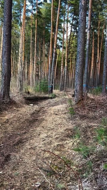 Внедорожный картинг в Екатеринбурге