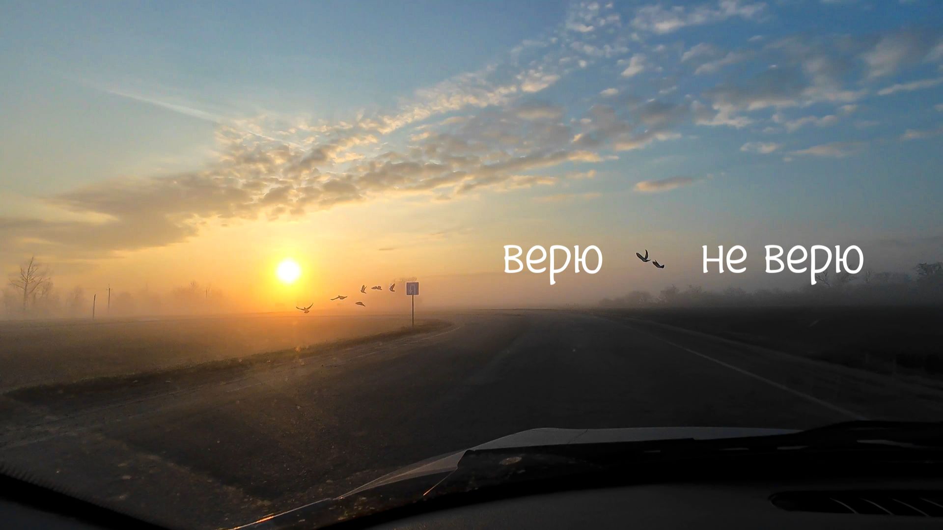 верю не верю