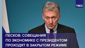 Песков: совещания по экономике с президентом проходят в закрытом режиме