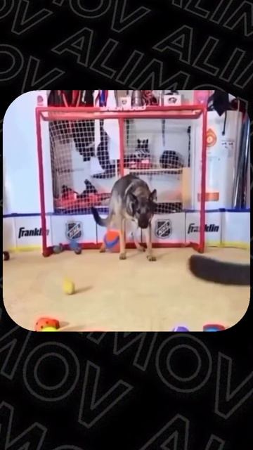 Главный фактор успеха - держать фокус на своей цели