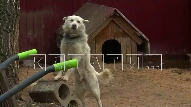 Выпуск новостей программы 