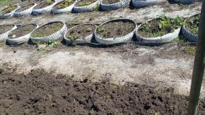 ЗДЕЛАЙ САМ. ТЕПЛИЦЫ ДЛЯ ОВОЩЕЙ.