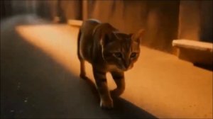 Когда море помнит - 4