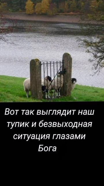 Ищи выход а не оправдания