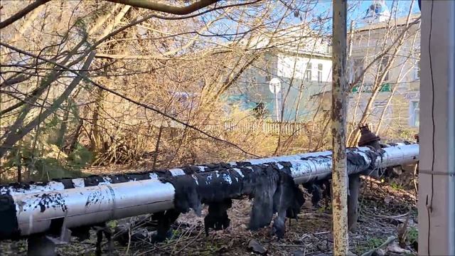 Скоро вырастет крапива и скроет «другое измерение» центра Кинешмы