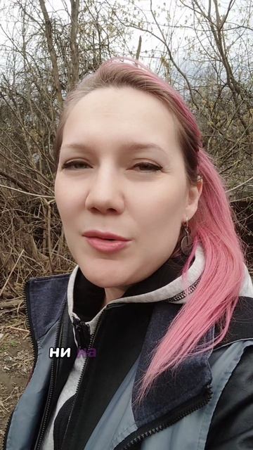 Собачья паника 