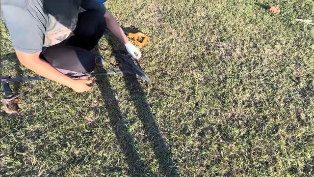 Подняли монету в идеальном сохране!