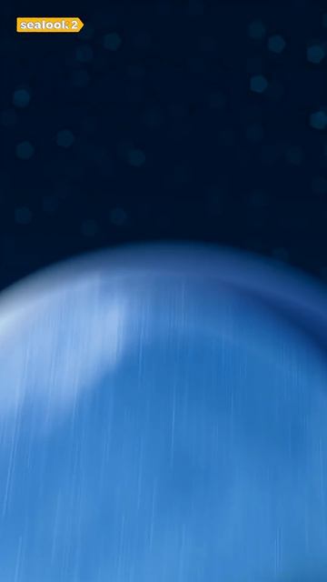 Морские Котики Финальный бой снежками ❄️