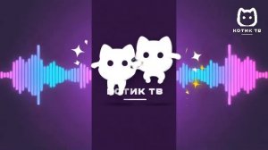 Котик ТВ