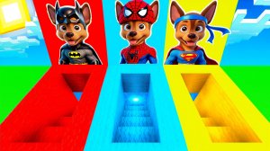 ВЫБЕРИ ПРАВИЛЬНЫЙ ПОДВАЛ ГОНЩИК: БЕТМЕН, ЧЕЛОВЕК ПАУК, СУПЕРМЕН, ЩЕНЯЧИЙ ПАТРУЛЬ