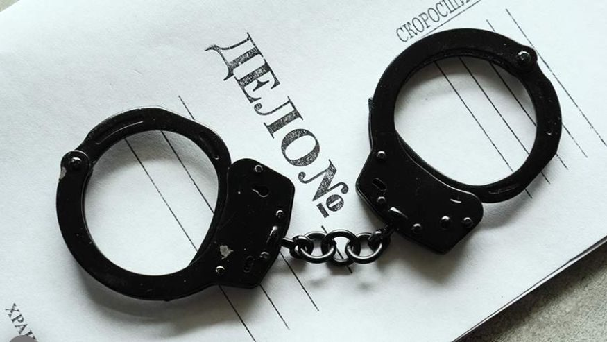 Прокуратура утвердила обвинительное заключение в отношении похитителя собак Пая