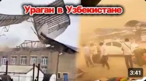 Удар погоды в Узбекистане❗ Сильный ветер срывает крыши и валит деревья❗ Мощная пылевая буря❗