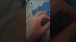 показываю свою коллекцию из пластилина 2 часть