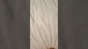 влог мини мини