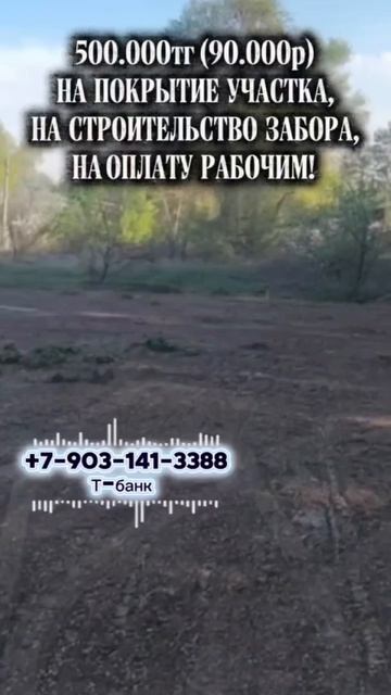 Приют Временный дом приглашает друзей на помощь!!!