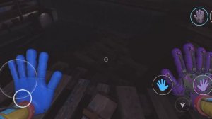 1000003074.mp4