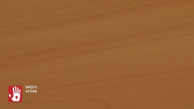 Миллиард на инвалидах: в Челябинской области раскрыли масштабную аферу