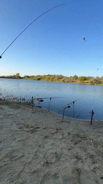 А на что ловите вы? рыбалка рыбалканасазана карповаяловля пруд природа отдых отдыхнапруду