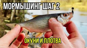 Мормышинг с нуля. ШАГ 2: Перешел на 0.2 PE. Ловля окуня и плотвы в ветер