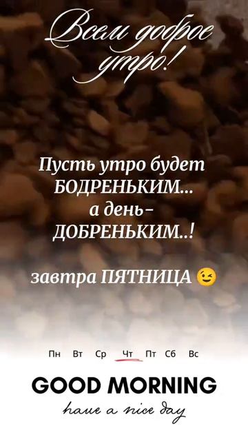 668034121_1_tiktok_68787dbd397548_93105883