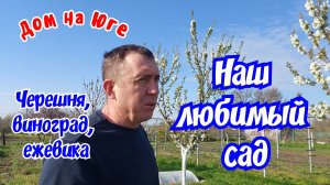 Дом на Юге. Наш любимый сад.