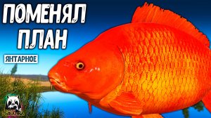 RF4 Поменял план и вот что получилось #рр4