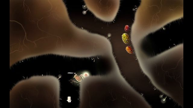 Botanicula 2012  Часть 7