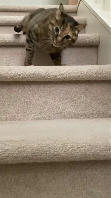 Новейшая техника спуска