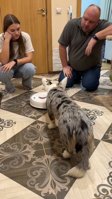 Нас бросила мама.