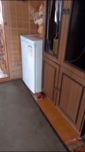 1000000192.mp4